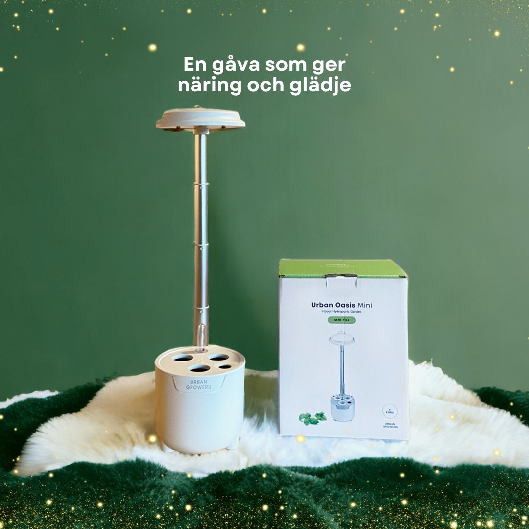 Urban Oasis Mini-Y03